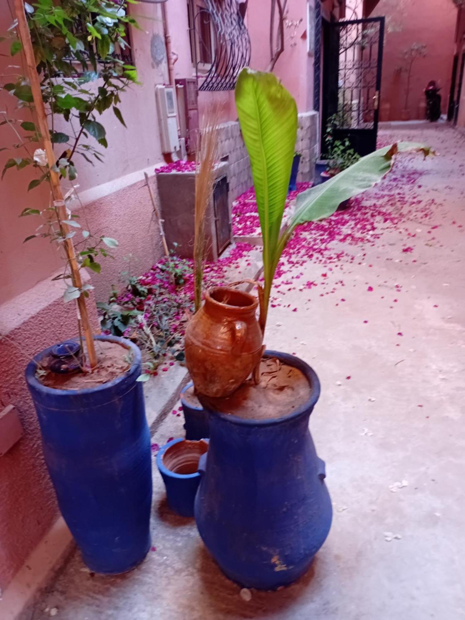 Riad Le Shams Марракеш Экстерьер фото