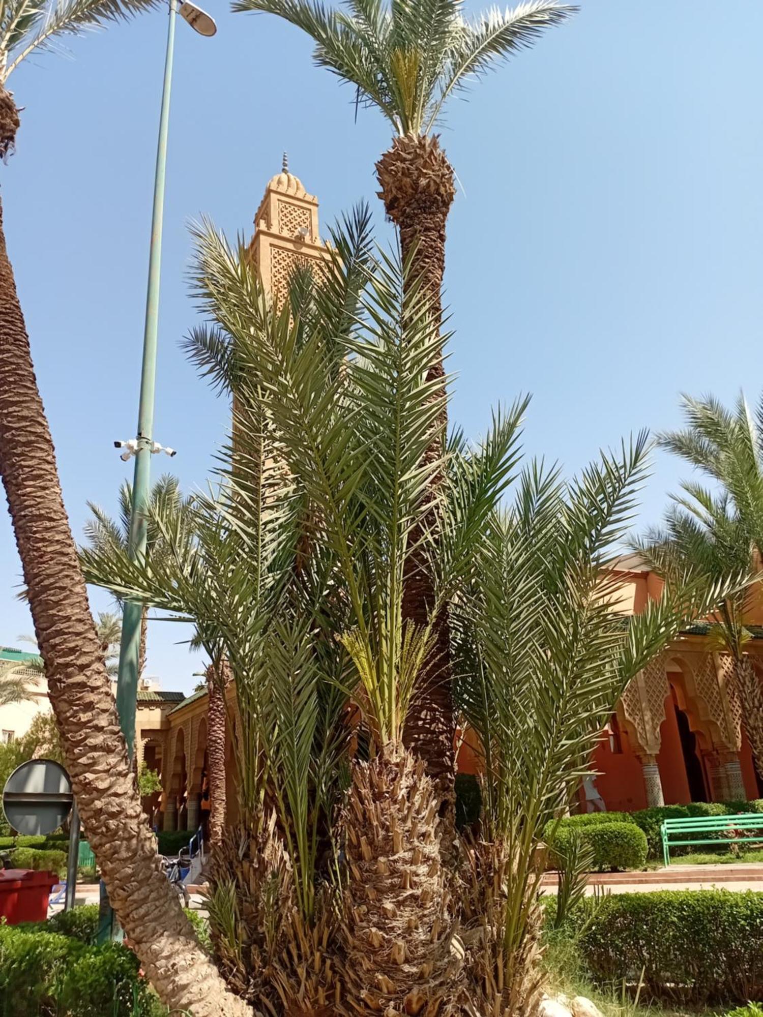 Riad Le Shams Марракеш Экстерьер фото